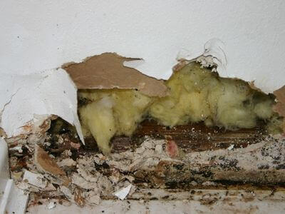 About HydraMendix - water damage restoration experts in Palmdale